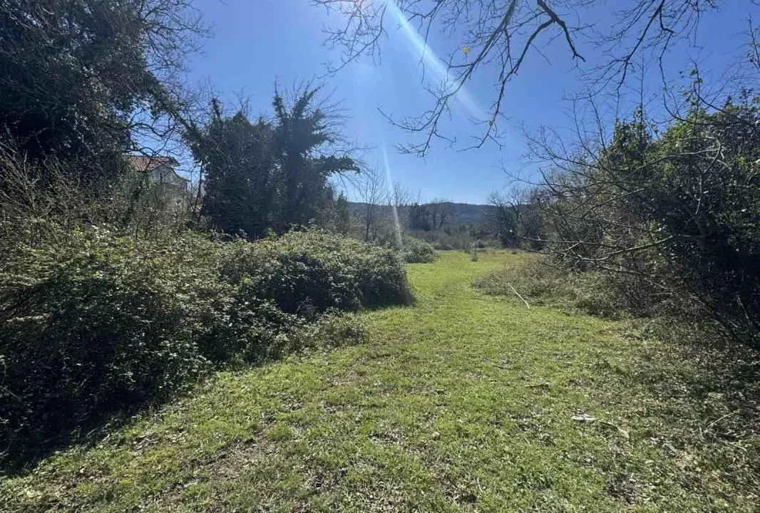 Sale, land lot, 7800m², Zelenika, Podgorica