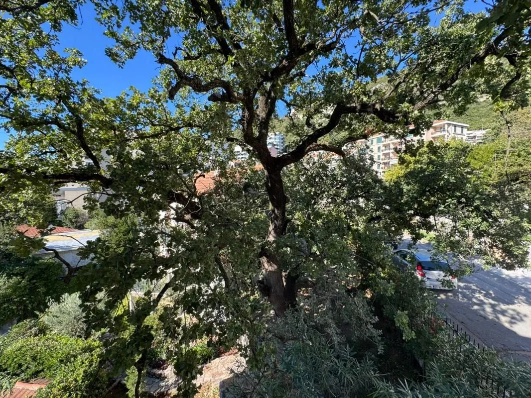 Prodaja, stan, 228m², Bečići, Budva