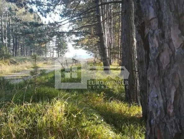 Prodaja, kuća, 68m², Zlatibor, Srbija