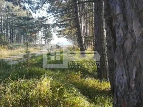 Prodaja, kuća, 68m², Zlatibor, Srbija - image 11