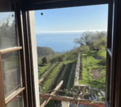 Izdavanje, kuća, 300m², Budva, Crna Gora - image 6