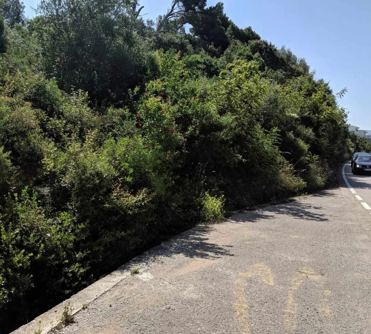 Prodaja, plac, 482m², Bar, Crna Gora