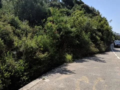 Prodaja, plac, 482m², Bar, Crna Gora - image 5