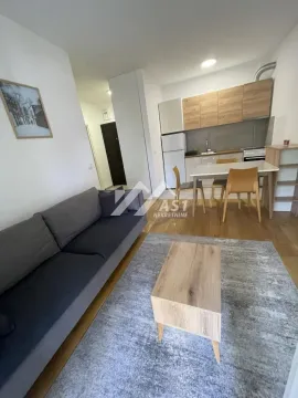 Izdavanje, dvosoban stan, 40m², Grbavica, Novi Sad Sve Podlokacije - image 2