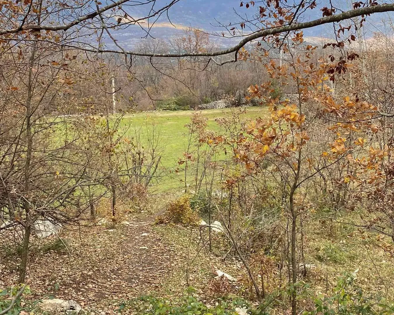 Prodaja, plac, 63937m², Zagreda, Danilovgrad