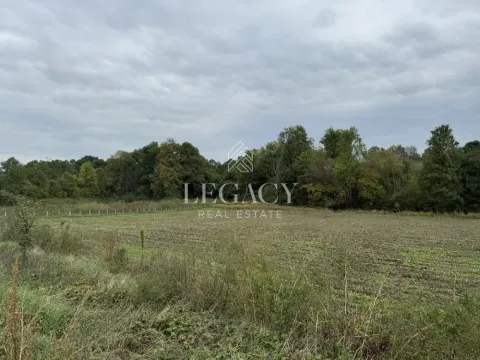 Sale, land lot, 6943m², Mladenovac, Beograd - image 1