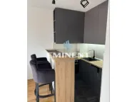 Izdavanje, stan, 43m², Vračar Sve Podlokacije, Beograd - image 5