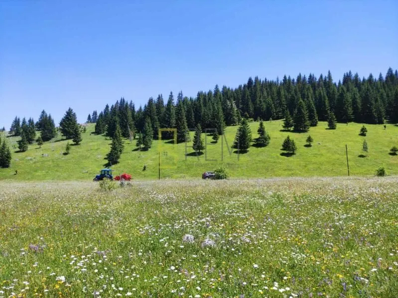 Prodaja, plac, Krš, Žabljak
