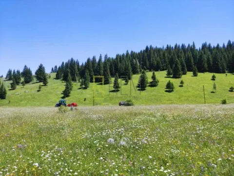 Prodaja, plac, Krš, Žabljak - image 5