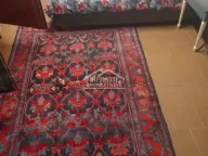 Izdavanje, stan, 28m², Vračar Hram, Vračar Sve Podlokacije - image 11