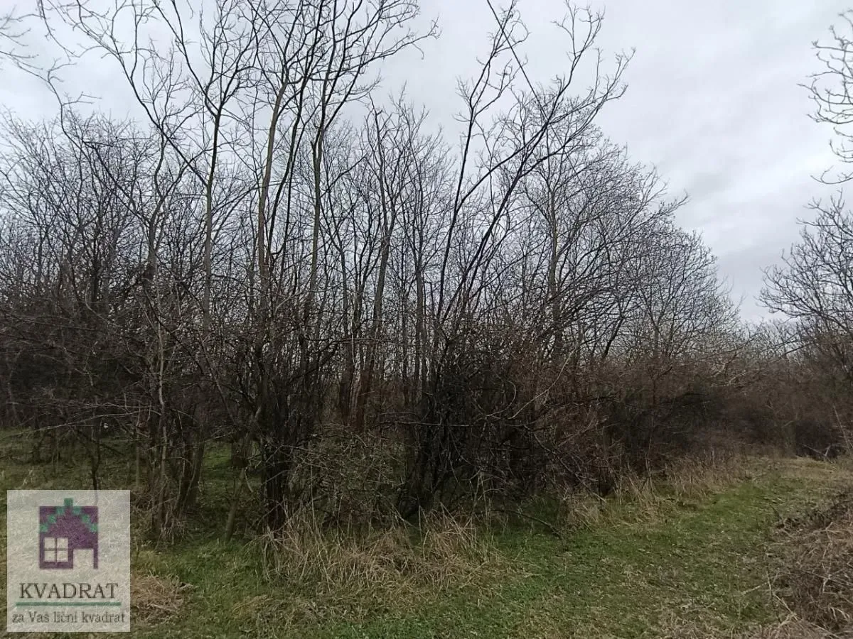 Prodaja, plac, 4100m², Mala Moštanica, Obrenovac