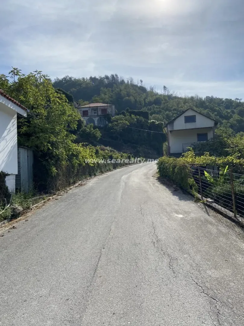Asfaltni put koji vodi do objekta u prirodnom okruženju.