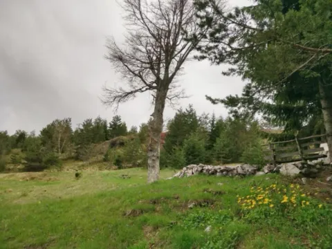 Prodaja, plac, 7000m², Tara, Srbija - image 11