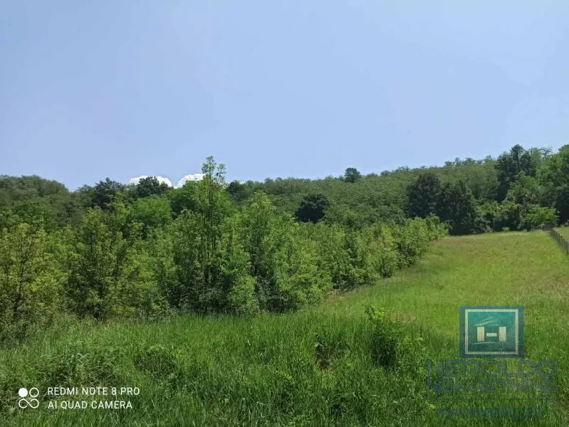 Sale, land lot, 2400m², Đurđevo brdo, Jagodina