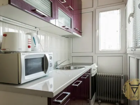 Izdavanje, dvosoban stan, 45m², Stari Grad, Beograd - image 7