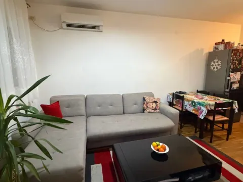 Prodaja, jednosoban stan, 43m², Zagorič, Podgorica - image 2