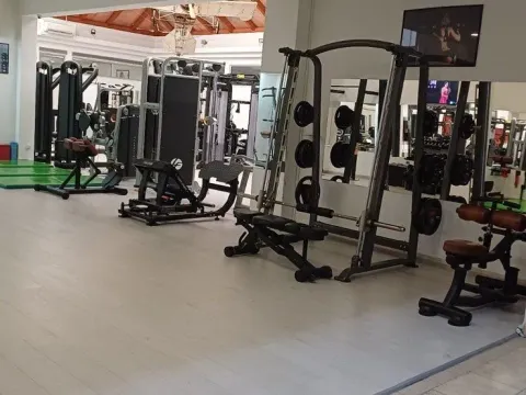 Prodaja, poslovni prostor, 1000m², Vračar, Šid - image 15