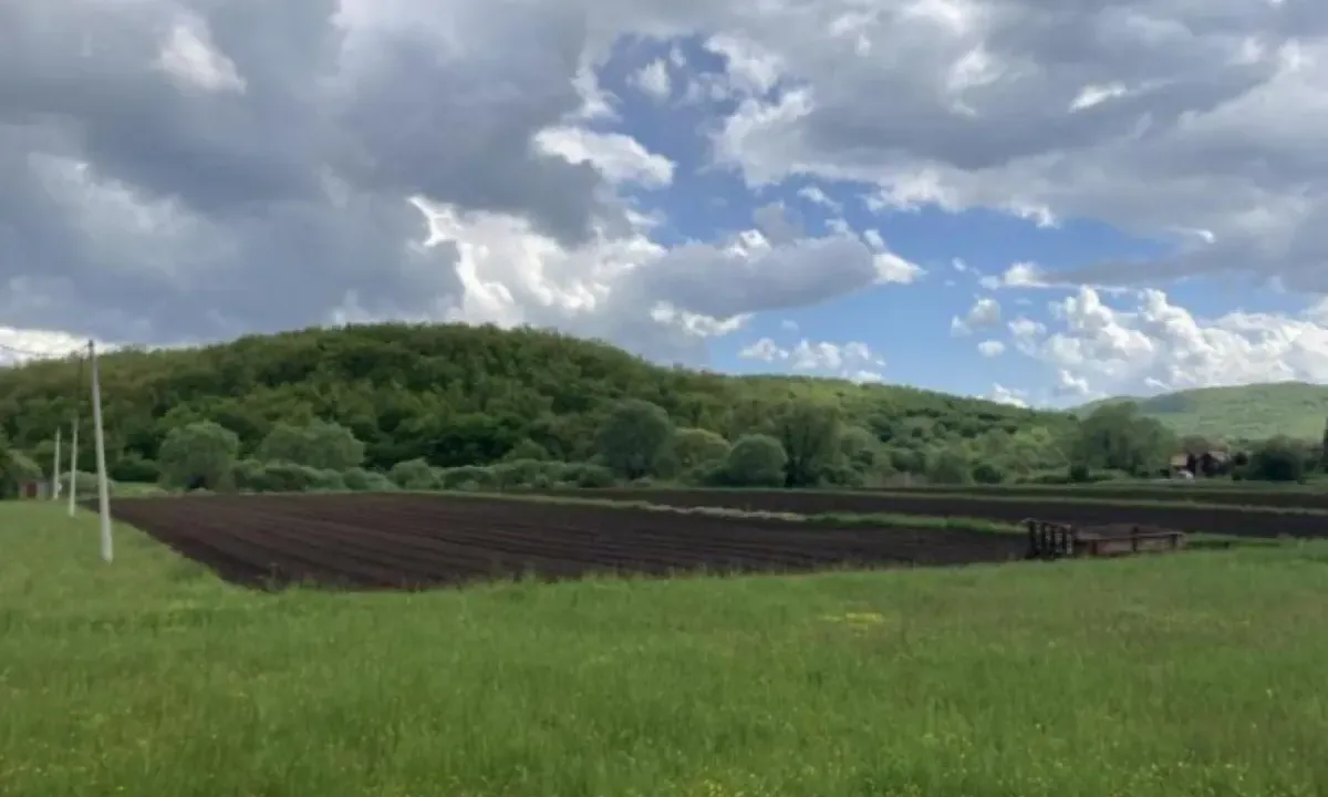 Sale, land lot, 21000m², Rastovac, Nikšić