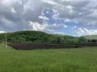 Sale, land lot, 21000m², Rastovac, Nikšić - image 1