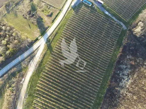 Prodaja, plac, 20000m², Nemenikuće, Sopot - image 8