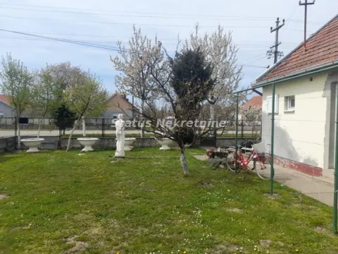 Zeleno dvorište sa travnjakom i drvećem ispred kuće. - image 9