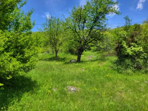 Prodaja, plac, 160000m², Bršno, Nikšić - image 13