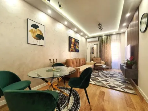 Rent, one bedroom apartment, 42m², Central Point, Podgorica - image 1