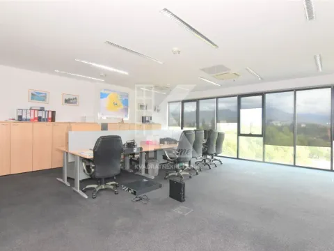 Izdavanje, poslovni prostor, 318m², Preko Morače, Podgorica - image 3