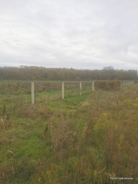 Prodaja, plac, 54200m², Ašanja, Pećinci