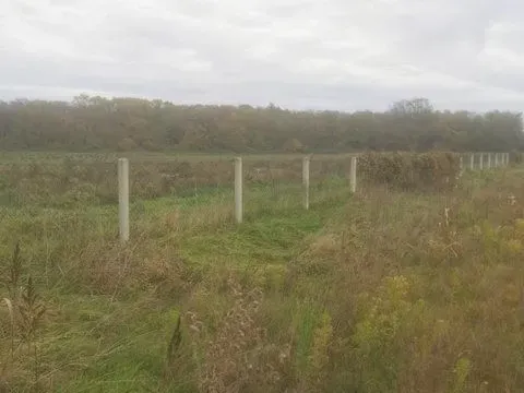 Prodaja, plac, 54200m², Ašanja, Pećinci - image 4