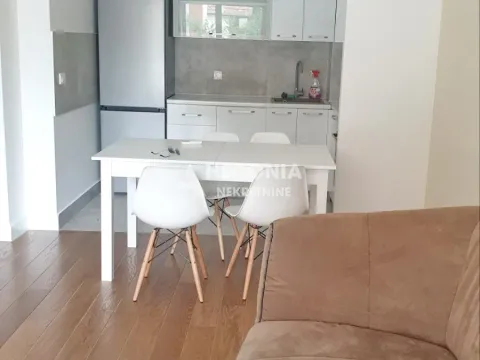 Rent, two bedroom apartment, 52m², Zemun Centar, Zemun Sve Podlokacije - image 4