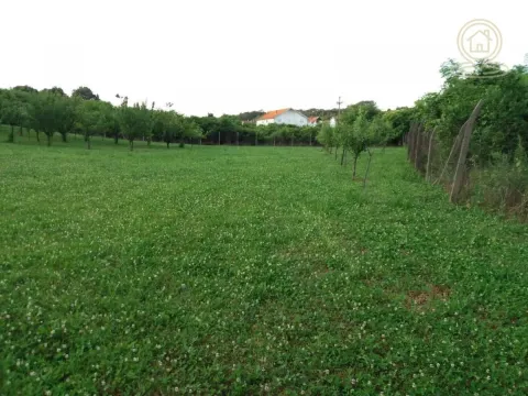 Izdavanje, poslovni prostor, 1200m², Mladenovac, Beograd - image 5