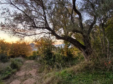 Prodaja, plac, 550m², Zaljevo, Bar - image 3