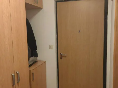 Izdavanje, jednosoban stan, 41m², Stari Aerodrom, Podgorica - image 4