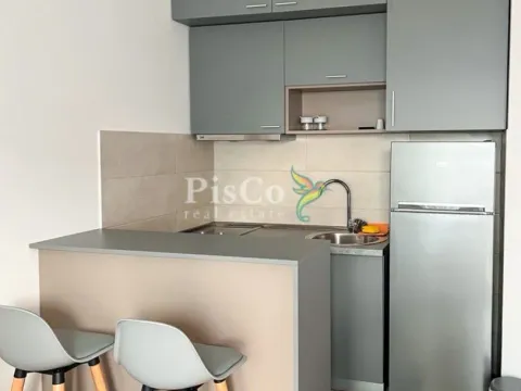 Izdavanje, garsonjera, 31m², Ljubović, Podgorica - image 2