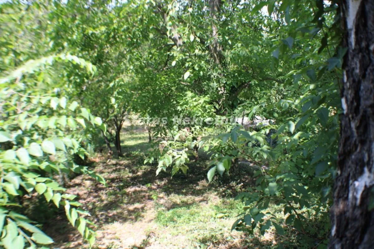 Prodaja, kuća, 113m², Sremska Kamenica, Petrovaradin