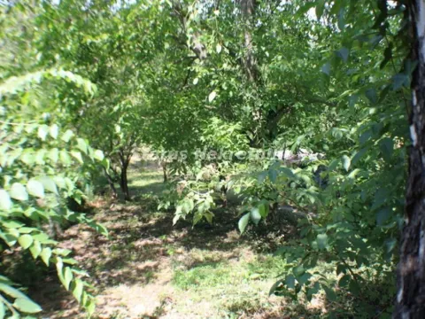 Prodaja, kuća, 113m², Sremska Kamenica, Petrovaradin - image 8