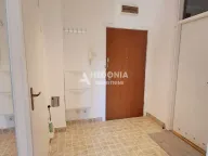 Prodaja, dvosoban stan, 49m², Kanarevo Brdo, Beograd - image 8