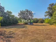 Sale, land lot, 2800m², Martinići, Danilovgrad - image 2