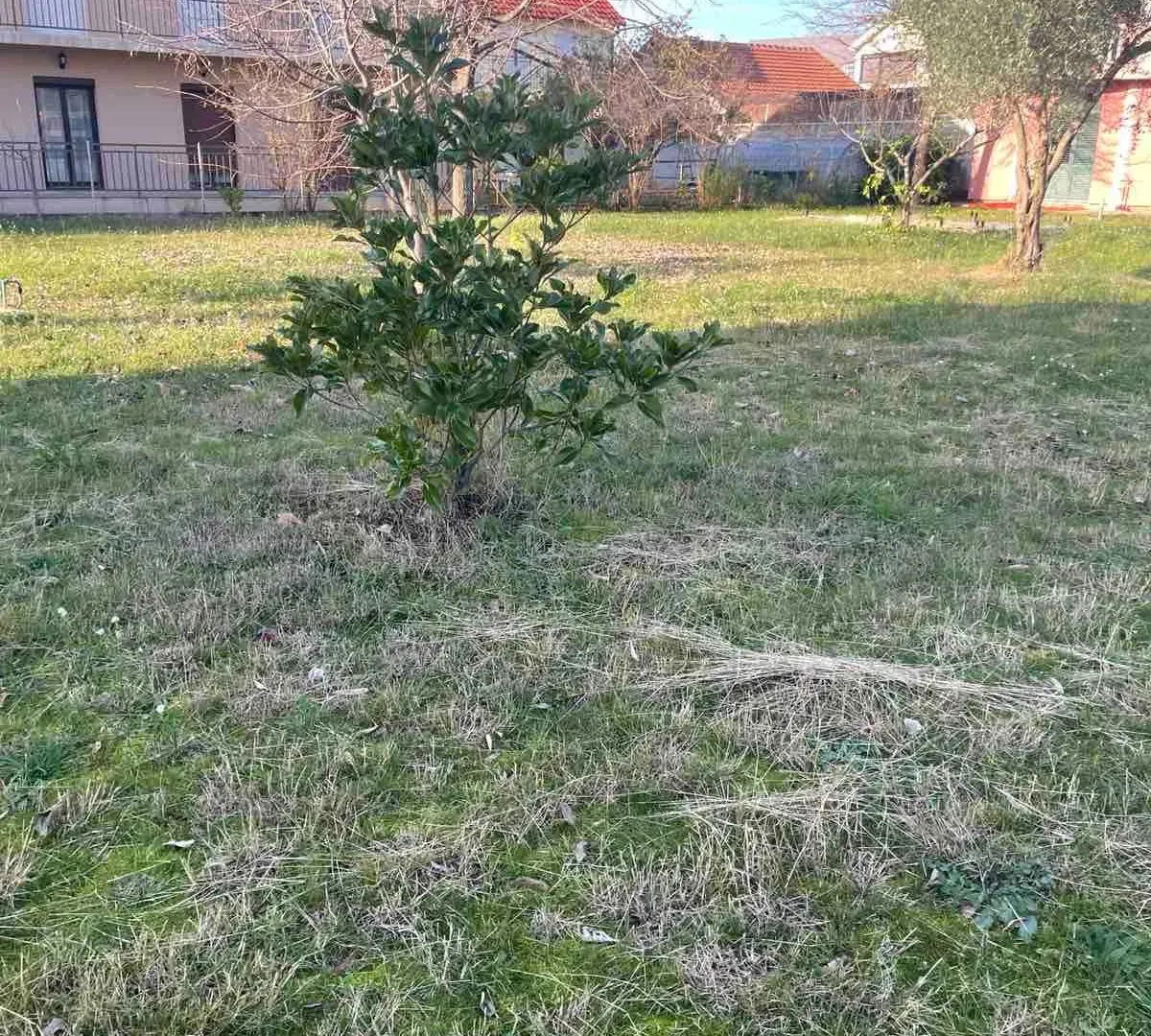 Prodaja, plac, 1000m², Donja Gorica, Podgorica