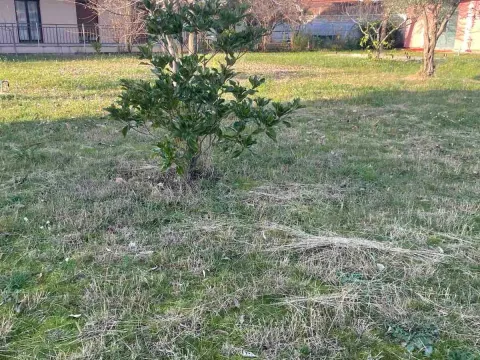 Prodaja, plac, 1000m², Donja Gorica, Podgorica - image 4