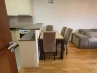 Izdavanje, jednosoban stan, 49m², Tuški Put, Podgorica - image 4