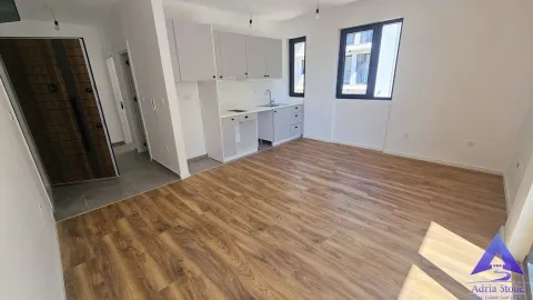 Dnevni boravak sa kuhinjom i laminatom na podu. - image 7