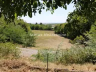 Izdavanje, poslovni prostor, 115m², Irig, Srbija - image 4