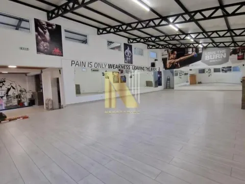 Izdavanje, poslovni prostor, 300m², Novi Sad, Srbija - image 3