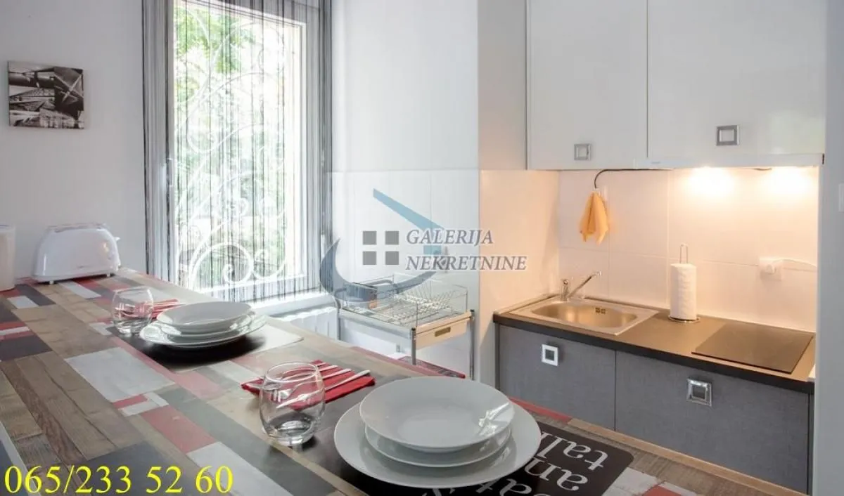 Rent, one bedroom apartment, 35m², Botanička Bašta, Palilula Sve Podlokacije