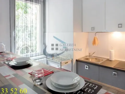 Rent, one bedroom apartment, 35m², Botanička Bašta, Palilula Sve Podlokacije - image 7