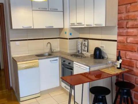 Daily-rent, studio apartment, 30m², Kod Big Fashion-a, Podgorica - image 5