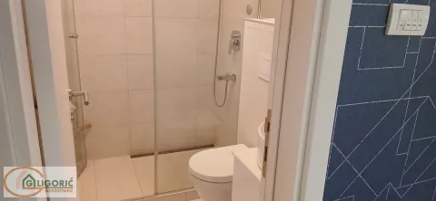 Pogled na moderno opremljeno kupatilo sa tuš kabinom i toaletom. - image 9