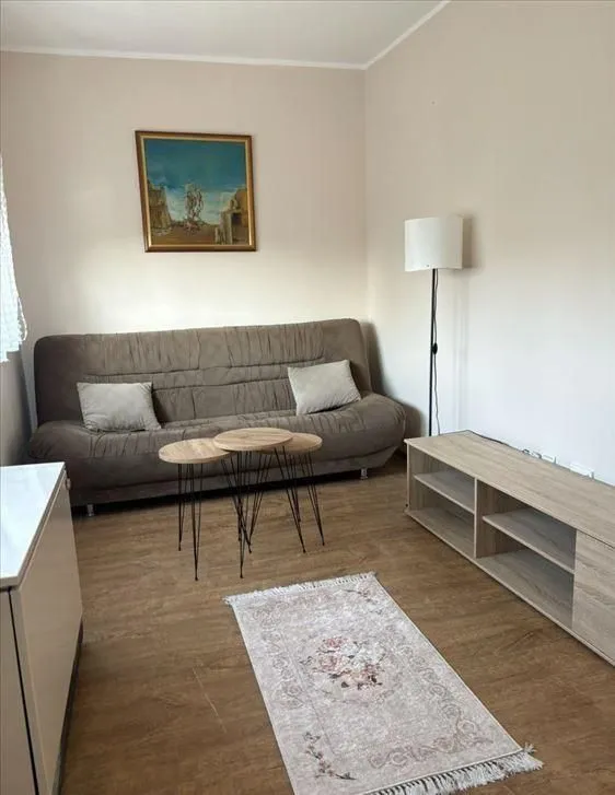 Rent, one bedroom apartment, 41m², Zemun Kalvarija, Zemun Sve Podlokacije